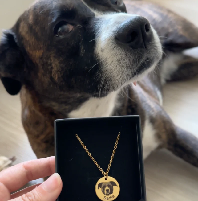 The Sonist Pet Portrait Necklace™ — Custom Photo Pendant
